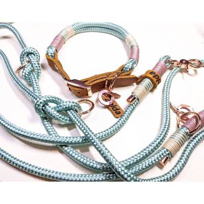 Verstellbares Hundehalsband aus Tau und Leder | 3fach verstellbare Hundeleine 2,5m in mint 