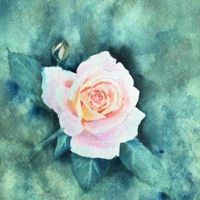Original Aquarell "Rosa Rose"  | 23 × 31 cm