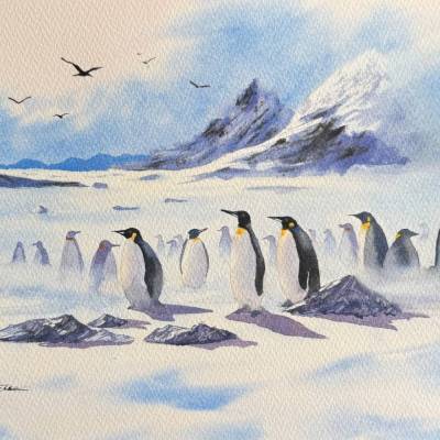 Original Aquarell "Pinguine Kolonie" | 23 × 31 cm