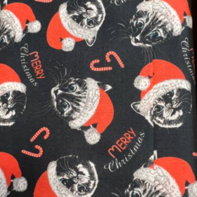 Baumwolldruck - Katzen mit Weihnachtsmützen - Weihnachten - 50cm