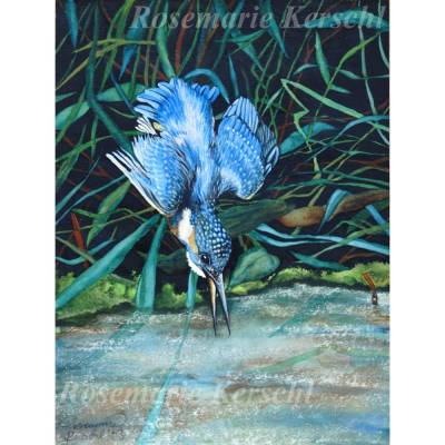 Eisvogel beim Fischen. Handgemaltes Aquarellbild 35 x 24 cm Hochformat. Galerie Rosemarie Kerschl
