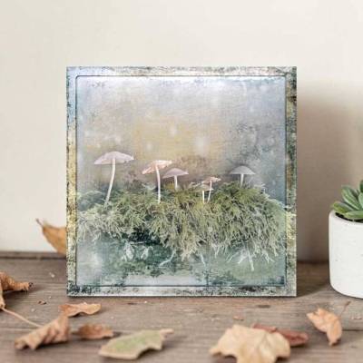 PILZE AUF MOOS, Wandbild als Holzdruck Leinwandbild Kunstdruck Wanddeko Herbst im Landhausstil Shabby Chic Vintage Style