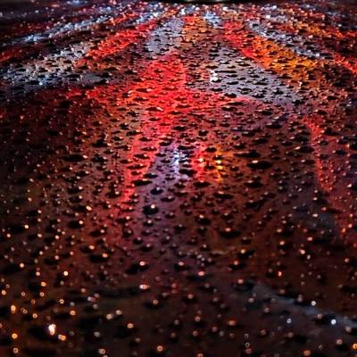 "Lilienflüstern – LIchtspiele (1)