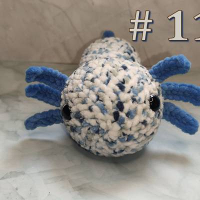 Axolotl (# 11 - # 18)