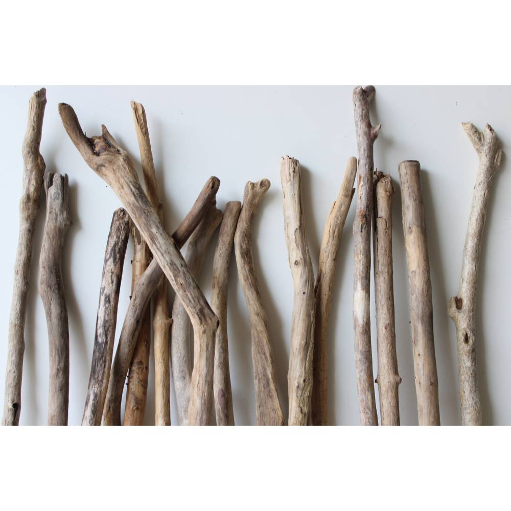 Treibholz Schwemmholz Äste 56-69 cm – Unikat Deko, Basteln & DIY