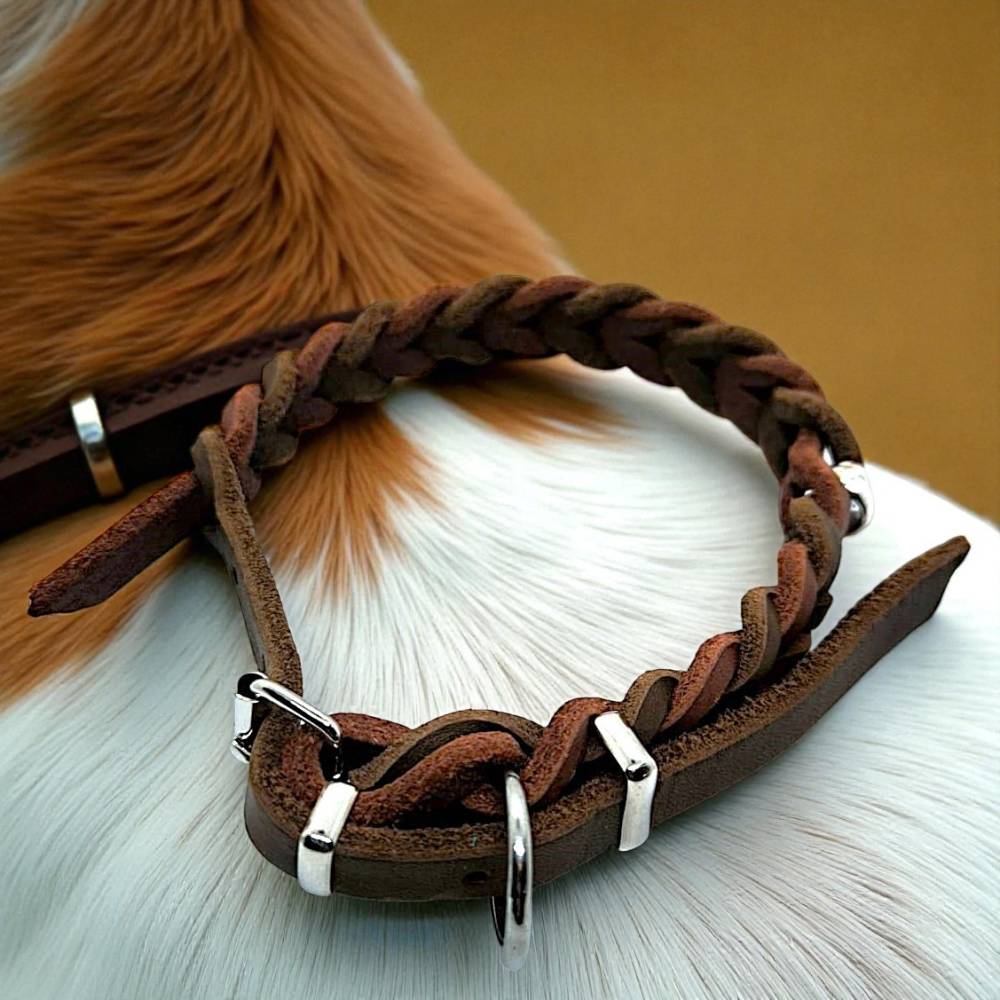 hundebett garten Das Outdoor-Hundebett  robust und komfortabel fr deinen Vierbeiner!