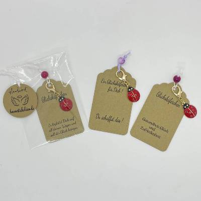 Glücksbringer Marienkäfer -Anhänger mit Karabiner– Geschenk & Talisman für Schule, Beruf,kleines Dankeschön,Mitbringsel Gastgeschenk