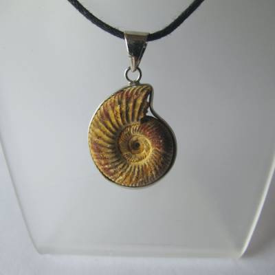 Ammonit Anhänger, Versteinerung, Fossil