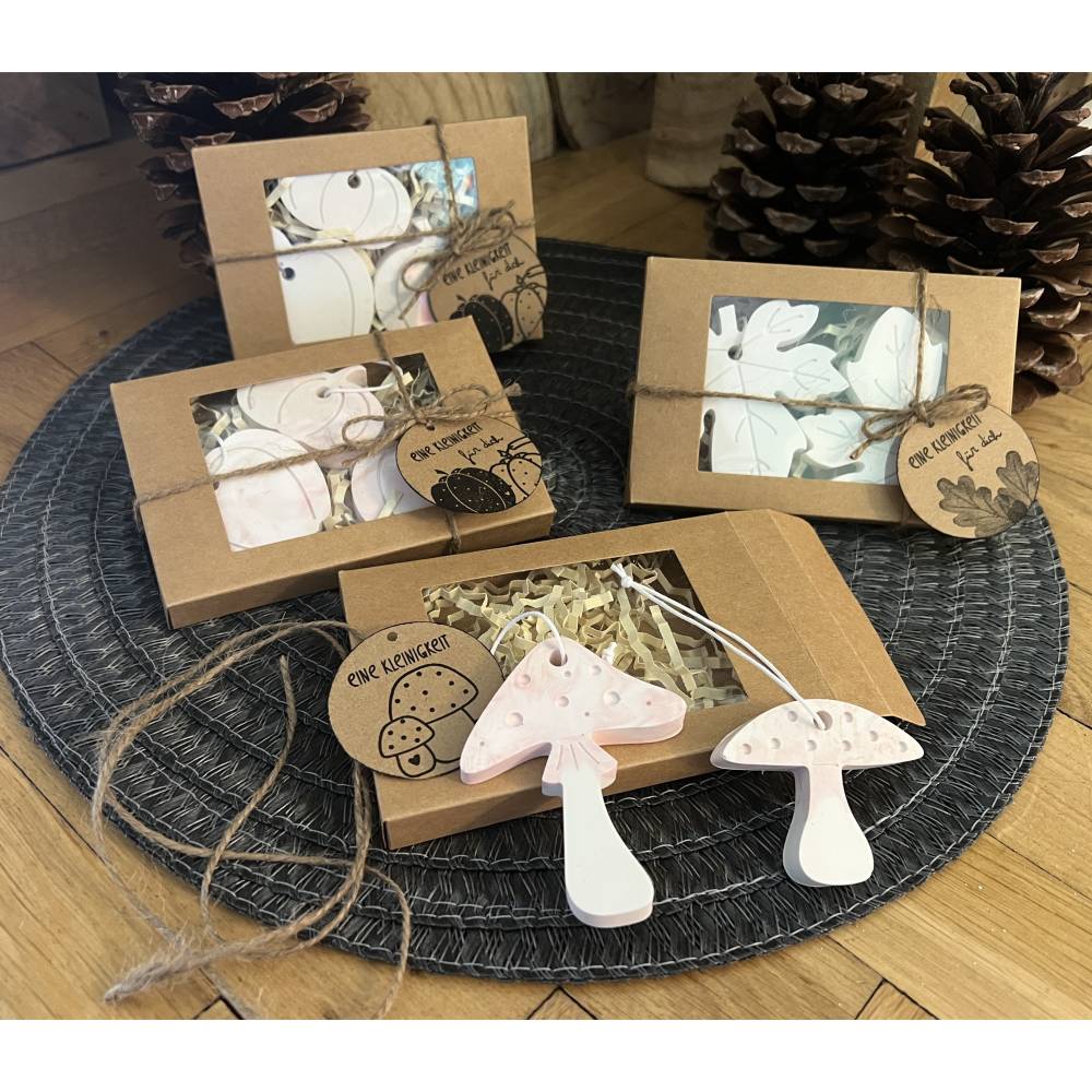 Geschenk Freundin Geburtstag, Geschenkset Frau, Herbstdeko Idee, Raysin Deko, Kleine Aufmerksamkeit Frau, Deko Geschenk