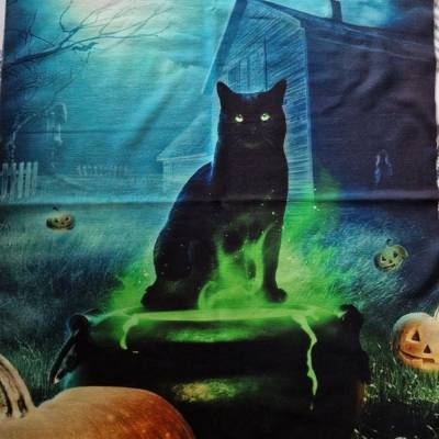 French-Terry Katze Halloween 45x55cm – Öko-Tex Sommersweat, Digitaldruck Meterware