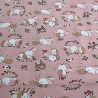 Baumwolljersey Hase und Igel altrosa Oeko-Tex Standard 100(1m/14,-€)