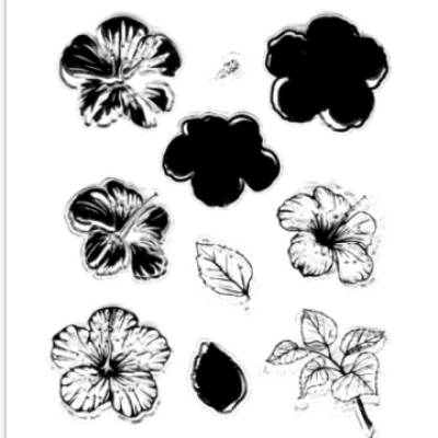 Clearstamp, Crafts-Too, Hibiscus, Blumen, CT25801