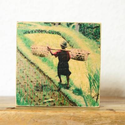 Holzbild 7x7 cm – Reisbauer auf Bali in den Reisterrassen – Fotodruck auf Multiplex – handgemachte Natur- und Asien-Deko