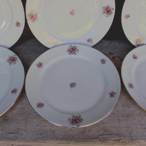 6er Set Kuchenteller Frühstücksteller Blumendekor Bareuther Porzellan Vintage 30er 40er Jahre