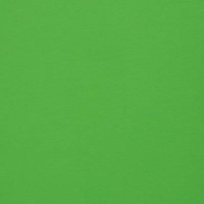 Baumwolljersey UNI Einfarbig lime Oeko-Tex Standard 100 (1m/11,-€)