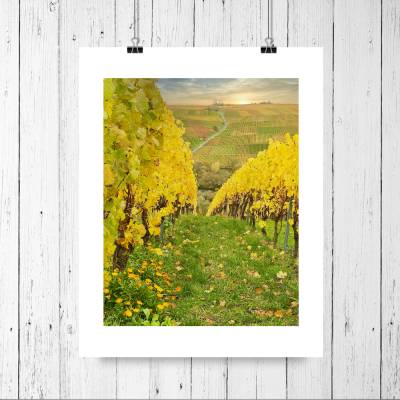 Herbst im Weinberg, Weinland Franken, Herbstlaub gelb, Heimatbild Unterfranken, Fotokunst, Größe 18 x 24 cm