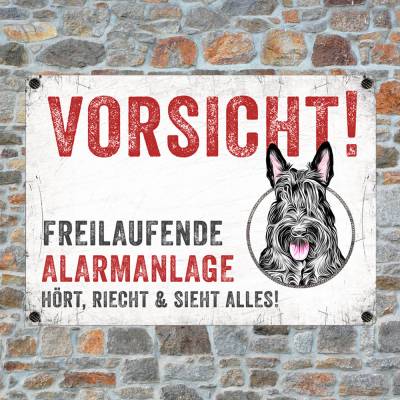 Hundeschild FREILAUFENDE ALARMANLAGE mit Scottish Terrier, wetterbeständiges Warnschild