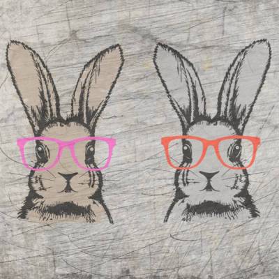 *Bunny* Plotterdatei