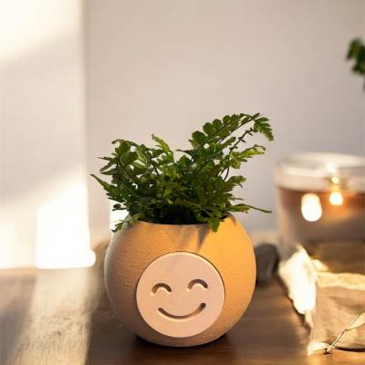 Lustiger Blumentopf mit Emoji Gesicht – Wechselbares Deko-Gesicht – 3D-gedruckt