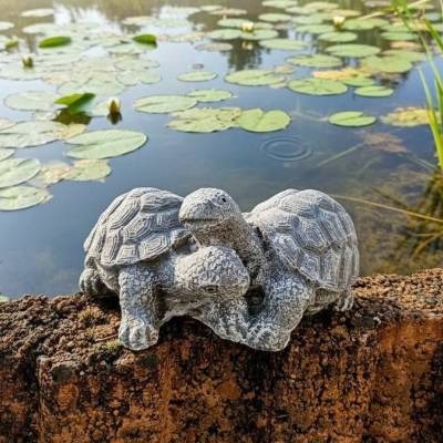 Steinfigur Schildkrötenpärchen –Handgefertigte Gartendekoration aus massivem Betonguss absolut frostfest