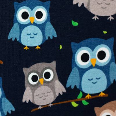 Rest: 0,65m x 1,50m Baumwolljersey Aron Eulen  Oeko-Tex Standard 100