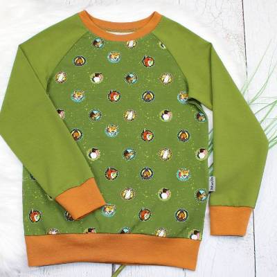 Kinderpullover | Die Schule der magischen Tiere | Ida | Rabbat | Raglanshirt | Langarmshirt, handmade
