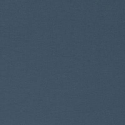 Baumwolljersey UNI Einfarbig taubenblau Oeko-Tex Standard 100 (1m/11,-€)