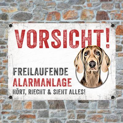 Hundeschild FREILAUFENDE ALARMANLAGE mit Weimaraner, wetterbeständiges Warnschild