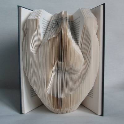 gefaltetes Buch "Hufeisen mit Pferd" für Pferdefreunde/Pferdehalter/Reiter, als Geschenk zu Geburtstag / Weihnachten etc