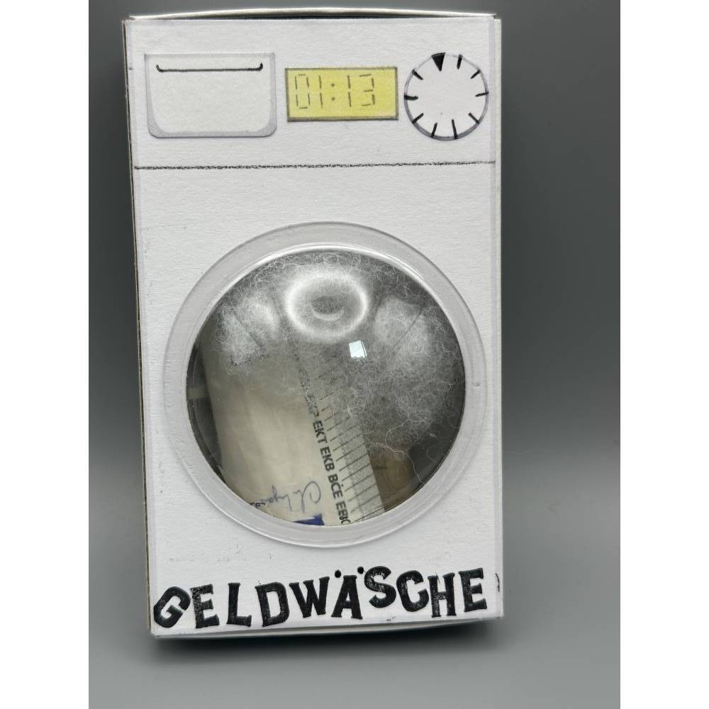 Geldgeschenk witzig verpackt: Die originelle Geldwäsche-Waschmaschine Bild 3