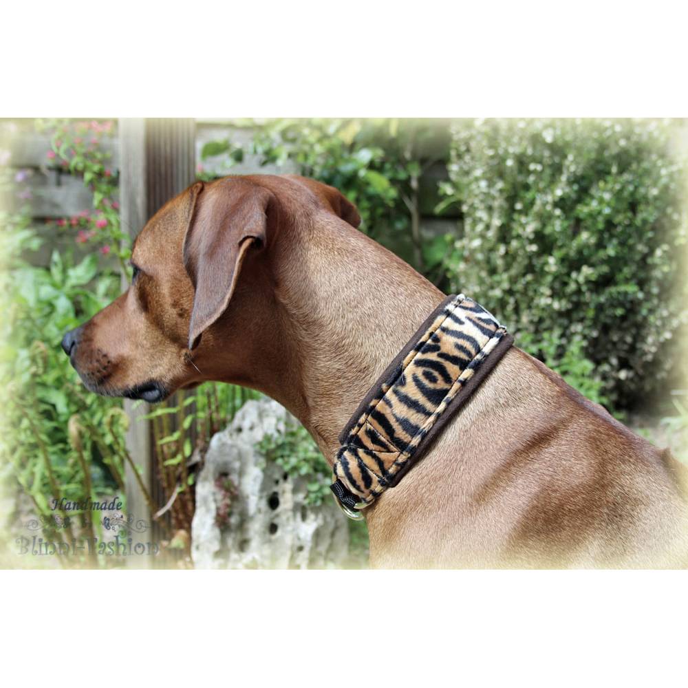 norma hundebett In And OutdoorMatch Haustierbett Norma – Hundebox Transportkäfig Katze main image 0