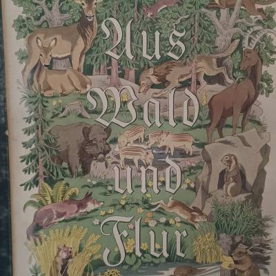 Aus Wald und Flur  - Cigaretten-Bilderdienst Hamburg-Bahrenfeld 1938 -  beschrieben  Weihnachten 1940