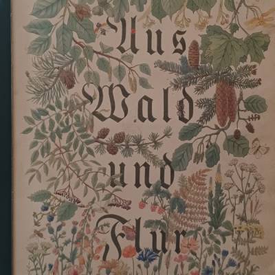 Aus Wald und Flur  - Cigaretten-Bilderdienst Hamburg-Bahrenfeld 1937 -  beschrieben  Weihnachten 1940