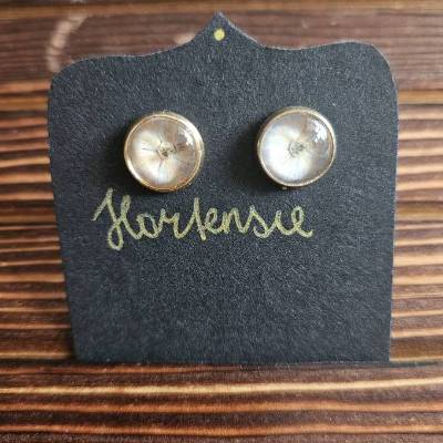 Ohrstecker Wurmfarn 10mm | 18k Gold auf Edelstahl | Echte gepresste Pflanze | Glas-Cabochon Unikat