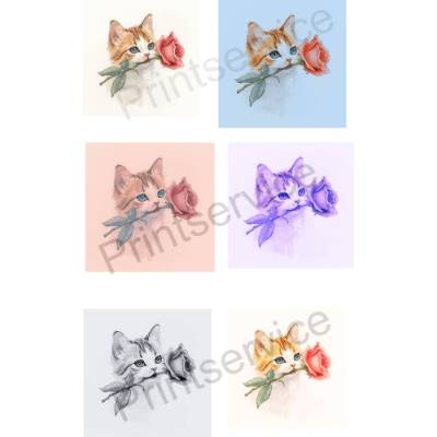 Katze mit roter Rose, Bilder in mehreren verschiedenen Farbnuancen, Clip Art, 6 Bilder
