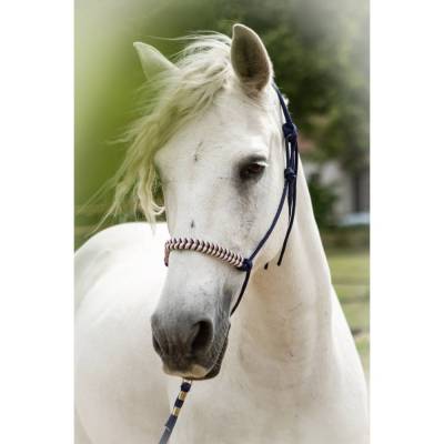 Knotenhalfter ,,Missy'' | individuell & personalisiert | Pferdehalfter | Bodenarbeit
