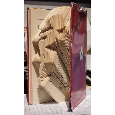 Book Art digitale  Faltanleitung Kusshand-Frau svg pdf