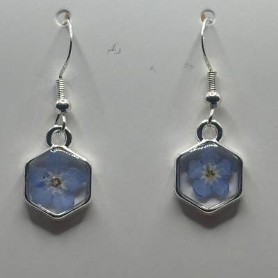 Handgefertigte Ohrringe mit echten Vergissmeinnicht in Hexagon Fassung & 925 Silber – Feminine Eleganz