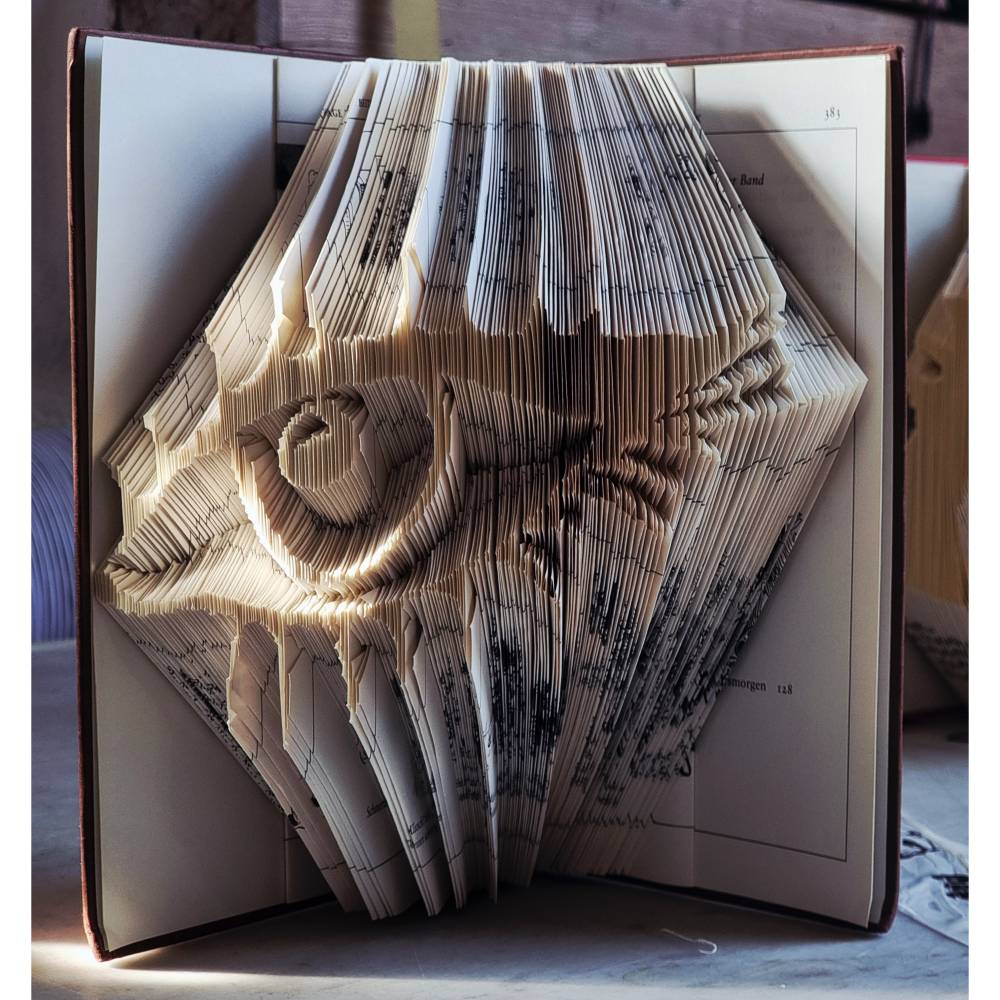 Book Art Faltanleitung Auge digital Buchkunst svg pdf Bild 1