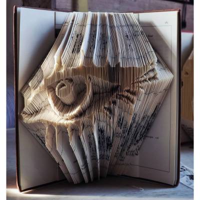 Book Art Faltanleitung Auge digital Buchkunst svg pdf