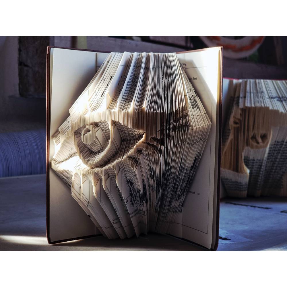 Book Art Faltanleitung Auge digital Buchkunst svg pdf Bild 4
