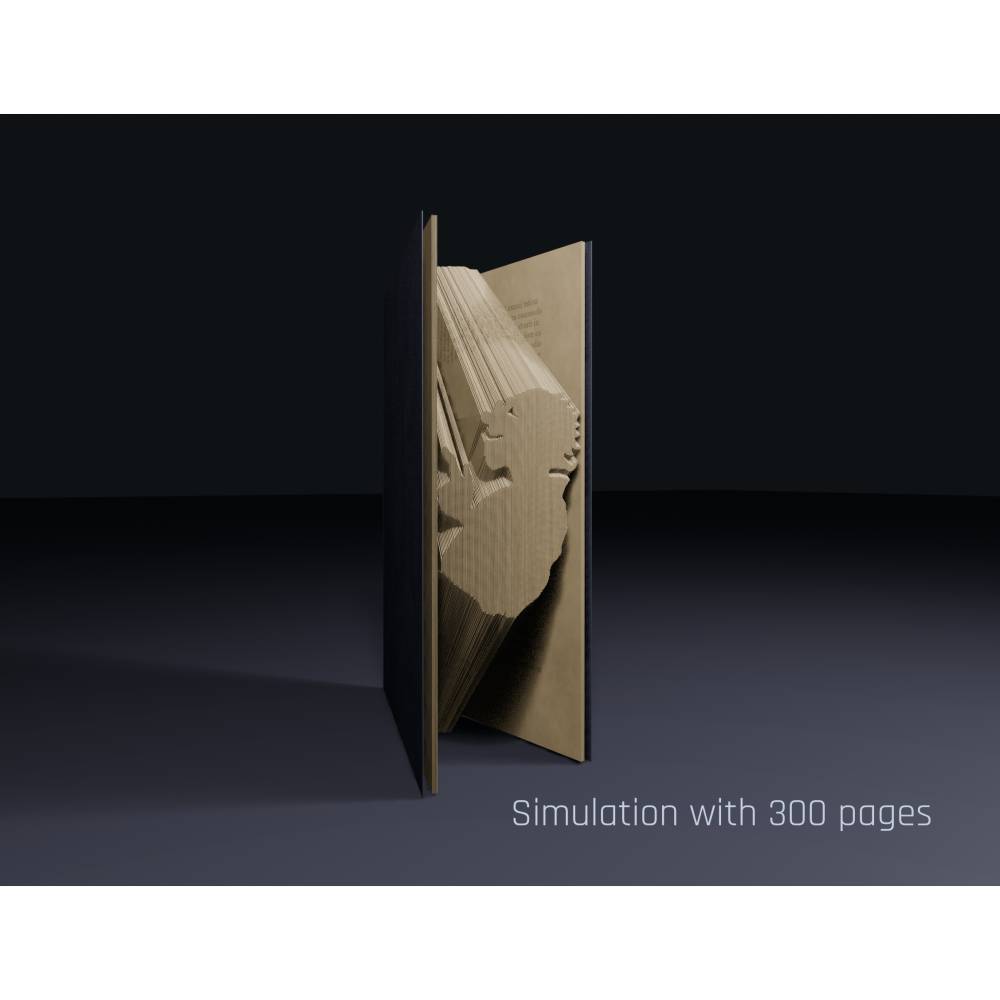 Book Art Faltanleitung Lehrer digital Buchkunst svg pdf Bild 4