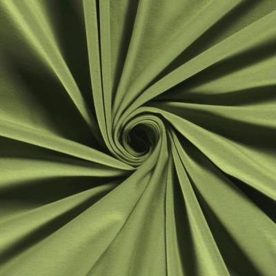 Jersey Uni Apfel grün 240g/m2 25cm x 150cm