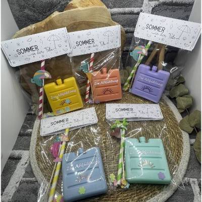 Sommer in der Tüte | mini Kühlakku | Mitbringsel | Gastgeschenk