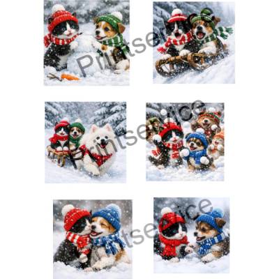 Hund und Katze im Winter, Clipart, 6 Bilder
