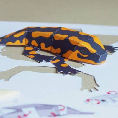Salamander Bastelbogen, Feuersalamander Bausatz für Kinder pdf Download Ausschneidebogen Gelb und Schwarz
