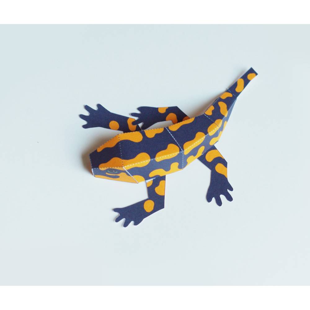 Salamander Bastelbogen, Feuersalamander Bausatz für Kinder pdf Download Ausschneidebogen Gelb und Schwarz Bild 2