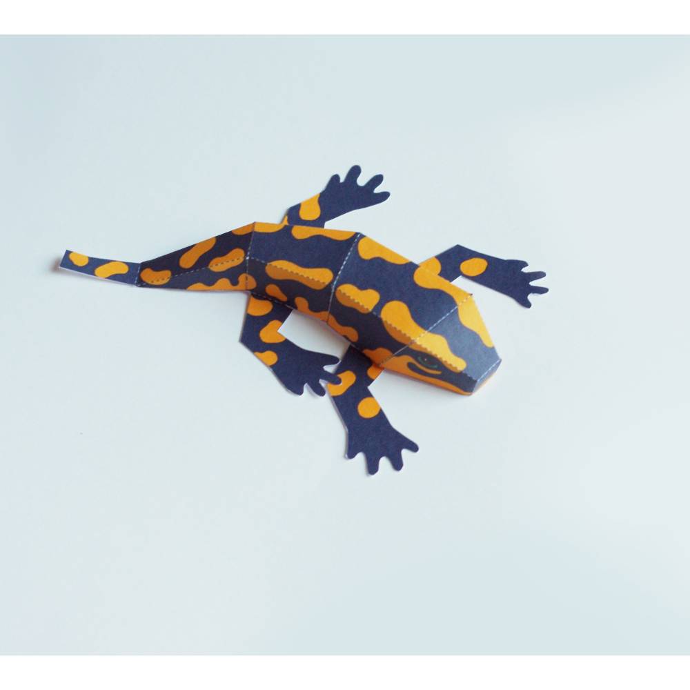 Salamander Bastelbogen, Feuersalamander Bausatz für Kinder pdf Download Ausschneidebogen Gelb und Schwarz Bild 6
