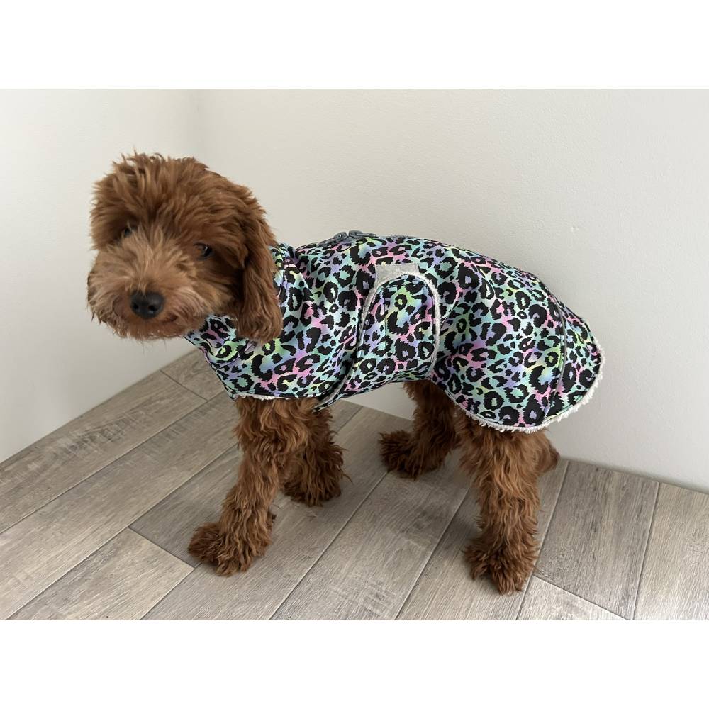 Softshell Winter Hundemantel Leo Regenbogen Rckenlnge 25-55cm