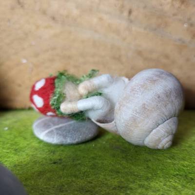 Fliegenpilz Schneckenhauskind